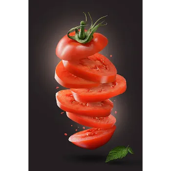 Fresh Tomato 